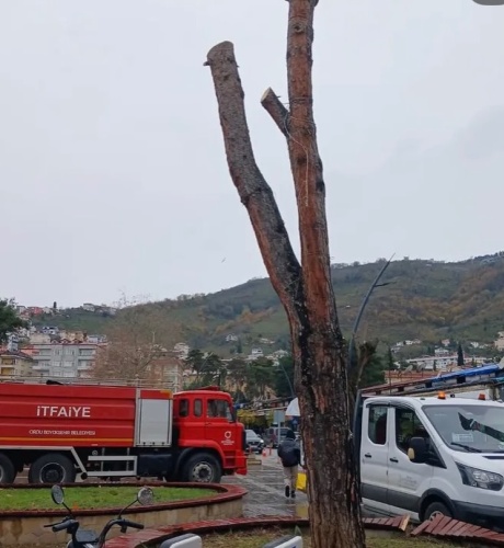Cumhuriyet Meydanı’nda başlatılan yeni meydan düzenleme çalışmaları, bölgenin simgesi haline gelen onlarca yıllık ağaçların yerinden sökülmesiyle büyük bir tartışmanın fitilini ateşledi. Vatandaşlar, yıllardır gölgesinde dinlendikleri ağaçların iş makineleriyle sökülmesine sert tepki gösterdi.