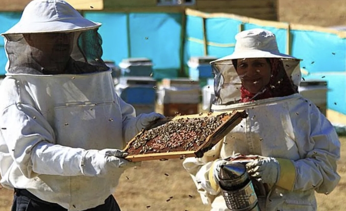 10 Ton Üretiliyor, 100 Ton Satılıyor: Anzer Balında "Sahte" Alarmı!