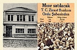 Bir Zamanlar Çiftçinin Kara Gün Dostuydu: Ziraat Bankası’nın Ordu’daki Tarihi Rolü