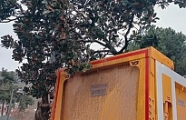 Cumhuriyet Meydanı’nda Ağaç Kıyımı Tepki Çekiyor: "Gölgesinde Yıllarımız Geçmişti"