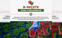 B-Reçete Sistemi Devrimi Başladı: Tarım İlaçları Kullanımına Sıkı Takip!