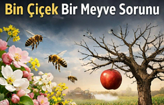 Tarımda "Bin Çiçek Bir Meyve" Çıkmazı:...