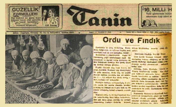 Ordu’nun Yeşil Kaderi: Kemal Peker’in Kaleminden 1944’te Fındık ve Şehir